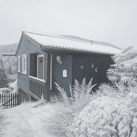 Welcome In - In Niedersfeld-winterberg, Auf Einem Huegel Gelegen, Mit Sauna Tatil Evi Winterberg