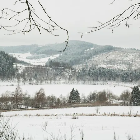 Welcome In - In Niedersfeld-winterberg, Auf Einem Huegel Gelegen, Mit Sauna *