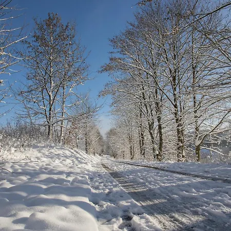 Welcome In - In Niedersfeld-winterberg, Auf Einem Huegel Gelegen, Mit Sauna 펜션 빈터베르크
